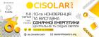 Cisolar 2021: Україна увійшла до ТОП 5 європейських країн за темпами розвитку сонячної енергетики