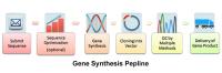 gene synthesis service