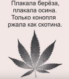 ТОО "Алтын Дала"