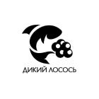 Дикий Лосось