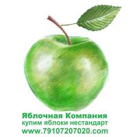 Яблочная Компания (ликвидировано)