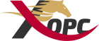 Хорс (ликвидировано)