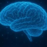 ИП Брыксин Н.В.