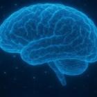 ИП Брыксин Н.В.