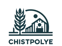 Чистополье