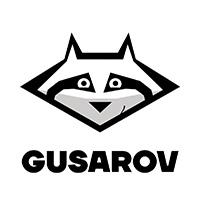 Гусаровгрупп (не существует)