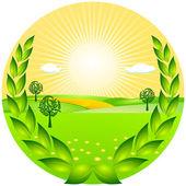 ИП Коломиец Д.В. (ликвидировано)