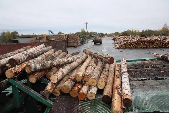 Runko Group расширяет лесозаготовительные мощности
