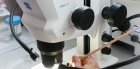 Какие микроскопы ZEISS используются в исследованиях РАН?