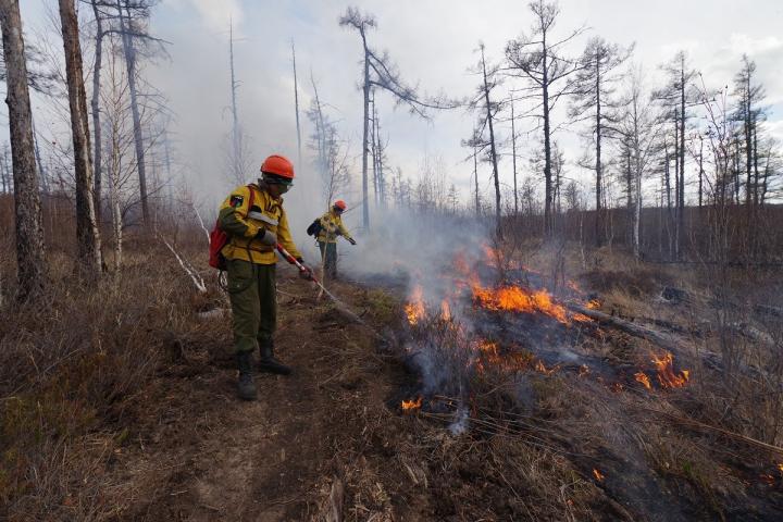 Свыше 64 млн руб. выделили в Якутии на охрану лесов от пожаров после прокурорской проверки