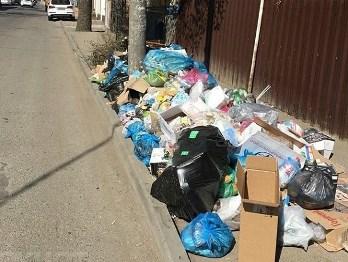 Решить «мусорную проблему» в Краснодаре попросили прокуратуру
