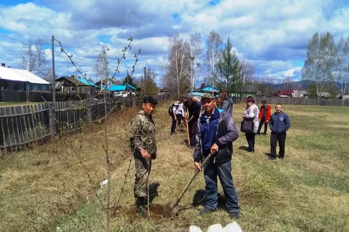 В Хабаровском крае продолжается акция Всероссийский день посадки леса