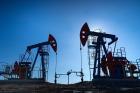 «1С Рарус на 15% ускорил обработку заказов в группе компаний «Римера»