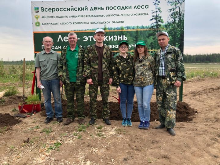 Группа компаний «Вологодские лесопромышленники» приняла участие в акции «Всероссийский день посадки леса»
