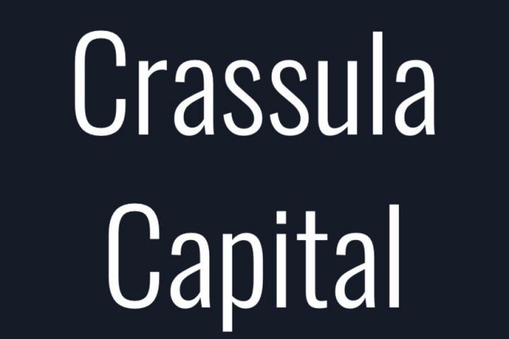 ICO для инвестиций в криптовалюты и драгметаллы открывает Crassula Capital