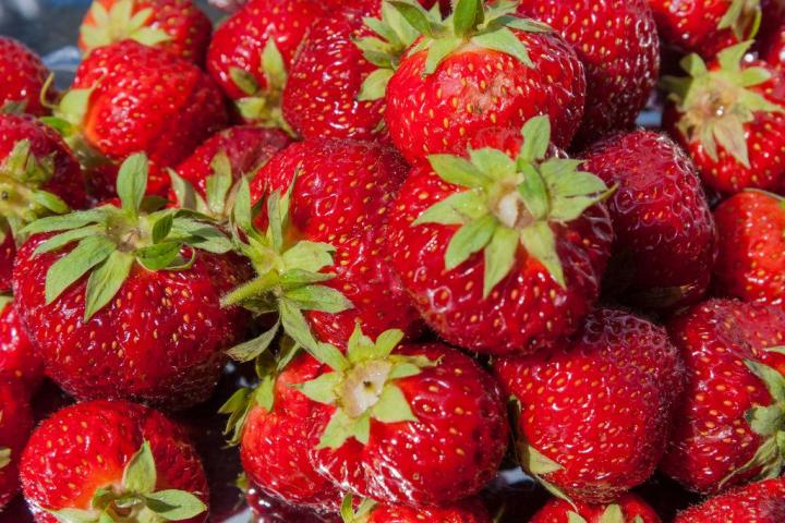 На Ставрополье производство ягод выросло на 30%