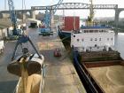 Ukraine: Qatari Investor to Create a Grain Hub in the Port of Olvia