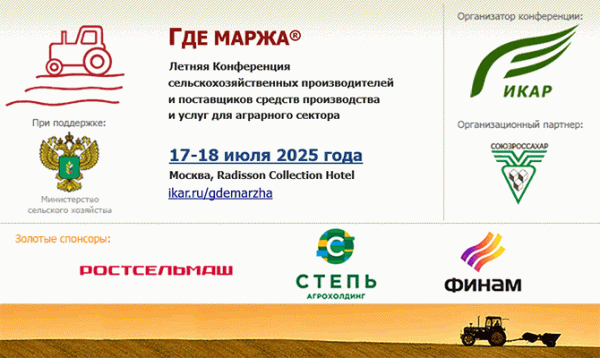 ГДЕ МАРЖА 2025