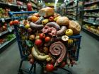 Переработка некачественных пищевых продуктов в корма: технологии, законодательство и бизнес-перспективы