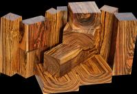 Из России в Китай вывезли древесину ценных пород