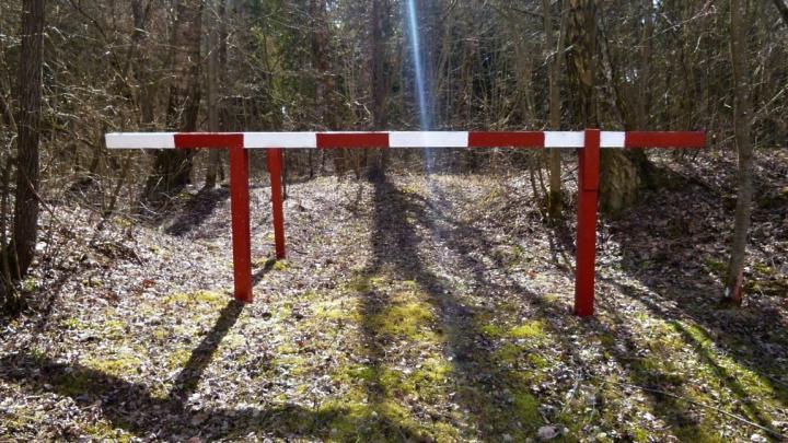 В лесах Подмосковья установят тысячи шлагбаумов