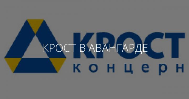 Проект концерн