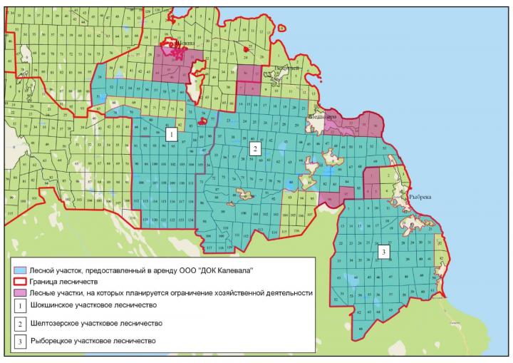 В Карелии жители пытаются спасти родной лес от вырубки