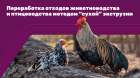 Методы переработки отходов животноводства и птицеводства: от традиционных способов к современным технологиям