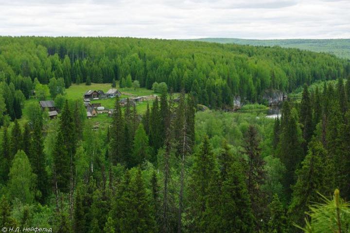 Суд обязал Минприроды Коми реализовать лесоустройство в Сосногорском лесничестве