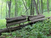 Радий Хабиров: «Производство в лесной промышленности у нас выросло на 30%»