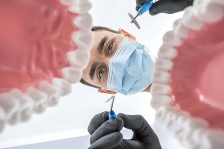 Рабочие модели челюсти в помощь студенту-стоматологу