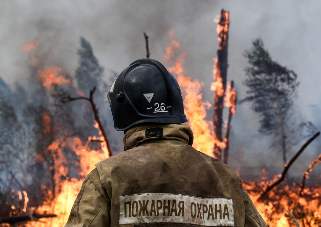 В Иркутской области на охрану лесов от пожаров направят почти 2 млрд рублей в 2023 году