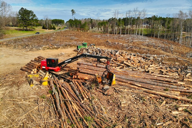 Финляндия на 3% сократила коммерческую лесозаготовку