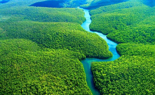 «Легкие планеты» скоро не смогут дышать: Мадуро призвал спасти Амазонку от катастрофы