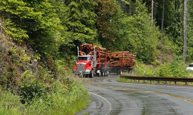 В Пермском крае провели эксперимент по контролю за лесоперевозками при помощи искусственного интеллекта