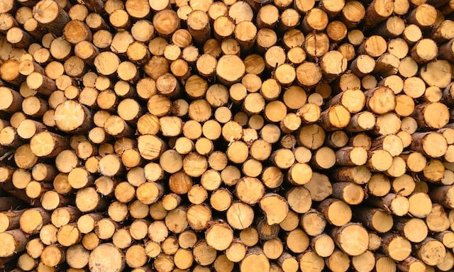 Тверская область поставила российским регионам 145 000 кубометров лесопродукции
