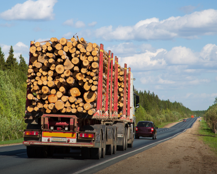 Рослесхоз: в ЛесЕГАИС усилят контроль за вывозом древесины с мест переработки и складирования
