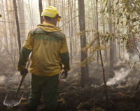 Рослесхоз отменил свыше 40 решений о приостановке тушения лесных пожаров в Якутии