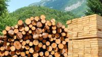 Лесозаготовители испытывают дополнительные трудности с реализацией пиловочника