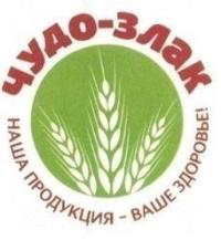 Елена Мокина