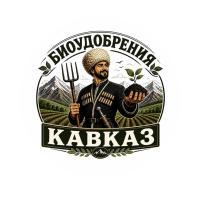 Альберт Курманов