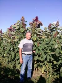 Александр Азаренко